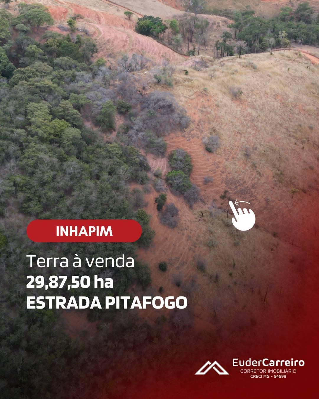 Fazenda, 29,87,50ha, à venda em Inhapim, Pitafogo