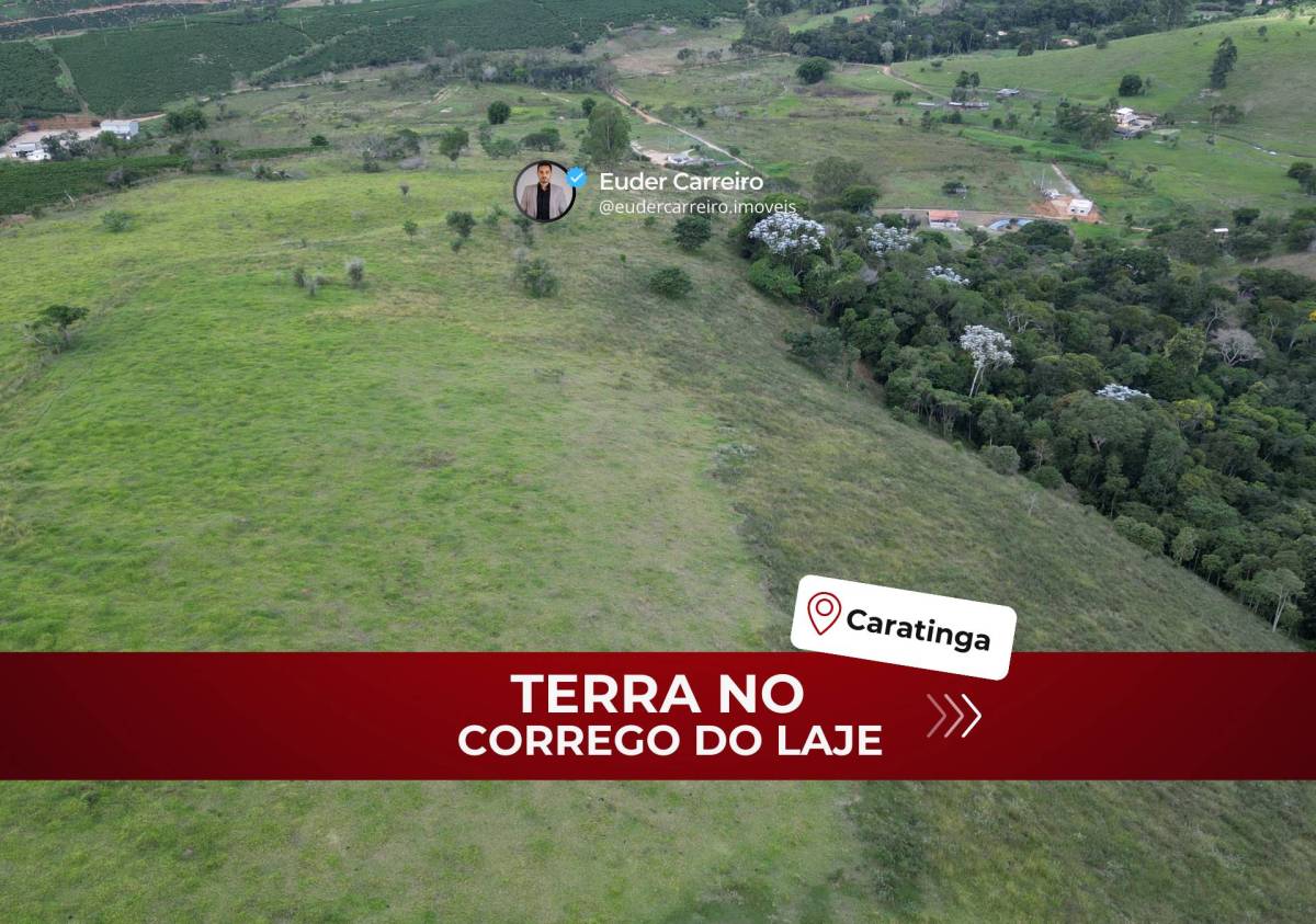 Fazenda à venda em Caratinga, Corrego do Lage, 21Alqueires Mineiro