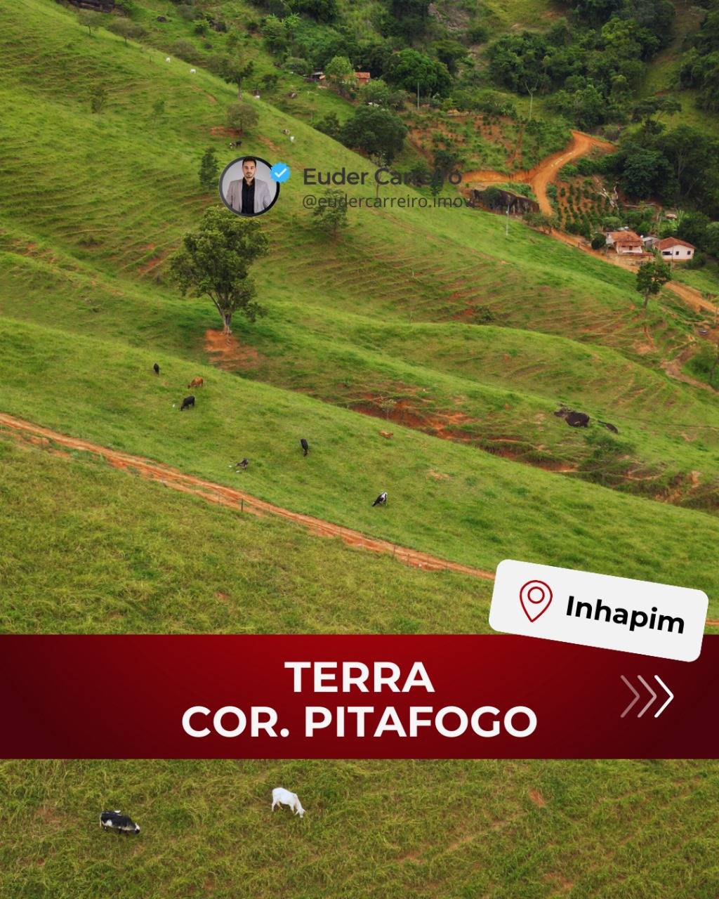 Sítio à venda em Inhapim, Cór. Pitafogo, 3Alqueires Mineiro