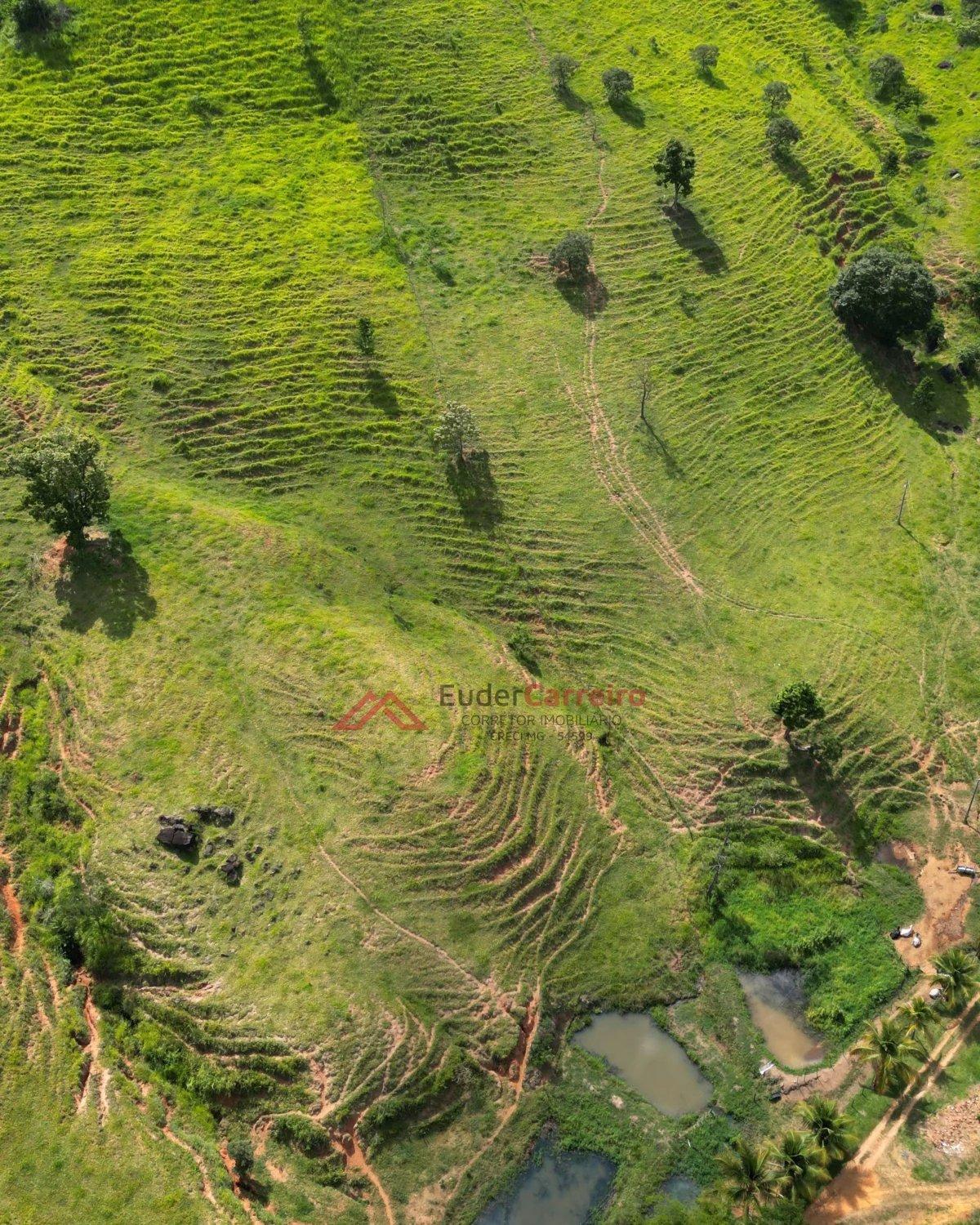 Terra de 3 alqueires em Inhapim, BR-116